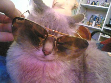 fashion